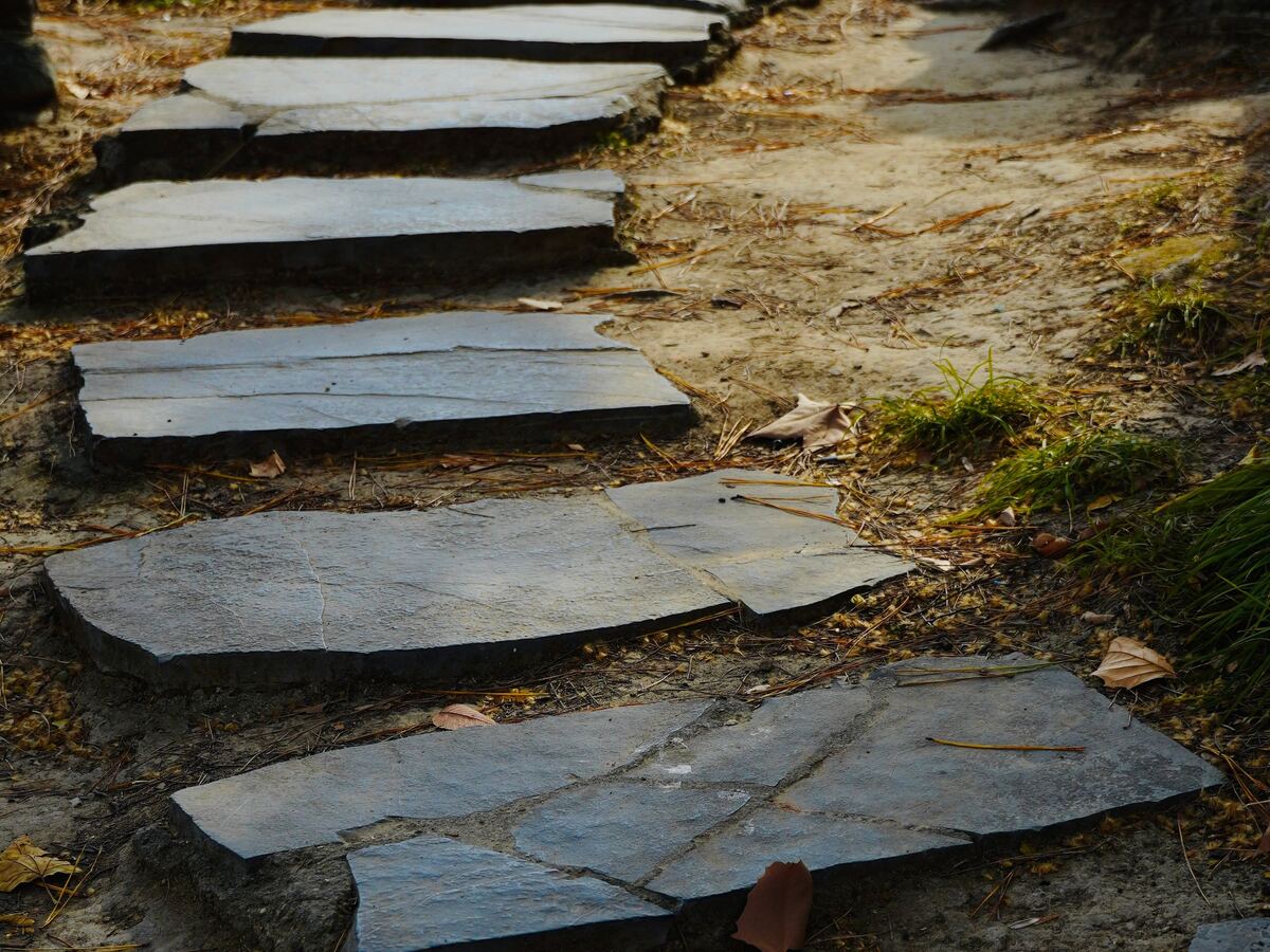 Stone retaining wall with timber steps set into a sloping garden